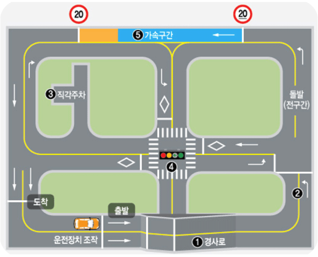 장내기능코스모식도