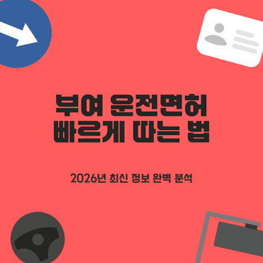 부여 운전면허학원, 2026년 빠른 합격을 위한 베스트 2곳 완벽 비교